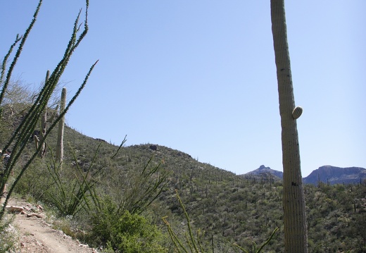 tucson-esperero-trail